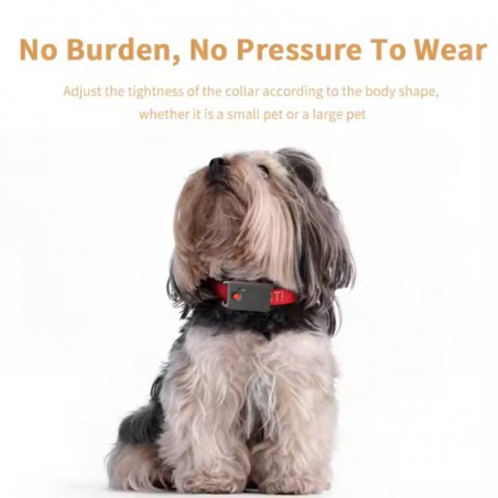 ძაღლების თრექერი, ჯიპიეს მონიტორინგი, ჯიპიეს თრექერი, GPS მონიტორინგი, GPS თრექერი